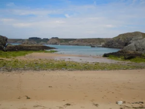 Algues vertes échouées sur une plage bretonne, pollution aux nitrates en Bretagne 2026