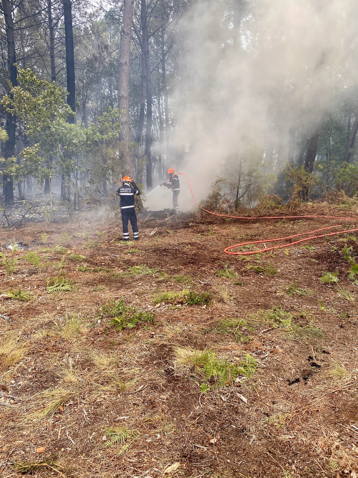 Incendie de forêt à Biscarrosse en juillet 2026, contexte du plan forêt du Fonds vert 2027