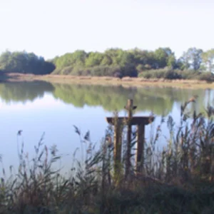 Étang de Sologne, région du procès Olivier Bouygues pour braconnage