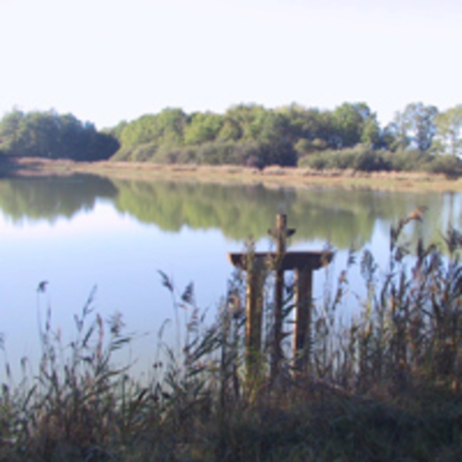 Étang de Sologne, région du procès Olivier Bouygues pour braconnage